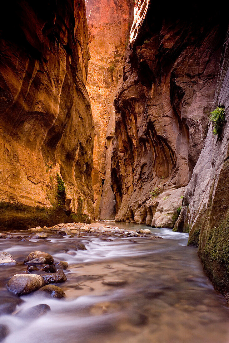 The Virgin River cuts deep through the lower portion of Zion National Park's Narrows
