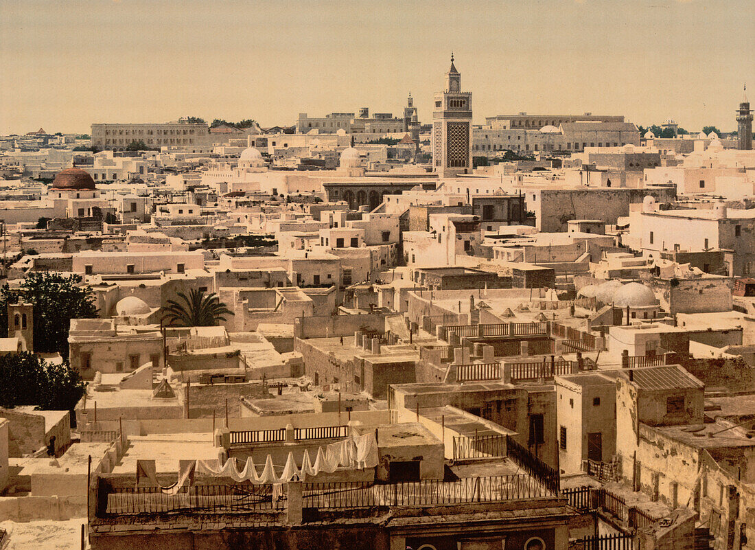 General View, Tunis, Tunisia, Photochrome Print, circa 1901