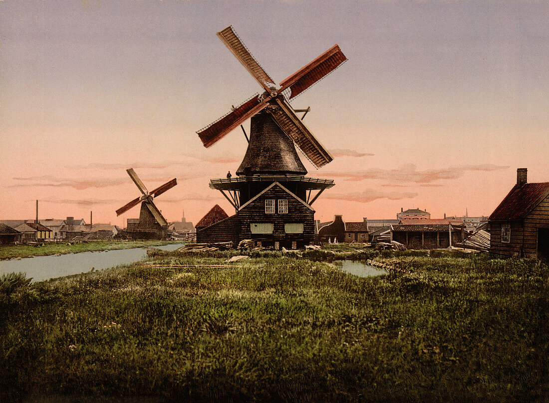 Two Windmills, Holland, Photochrome Print, circa 1900