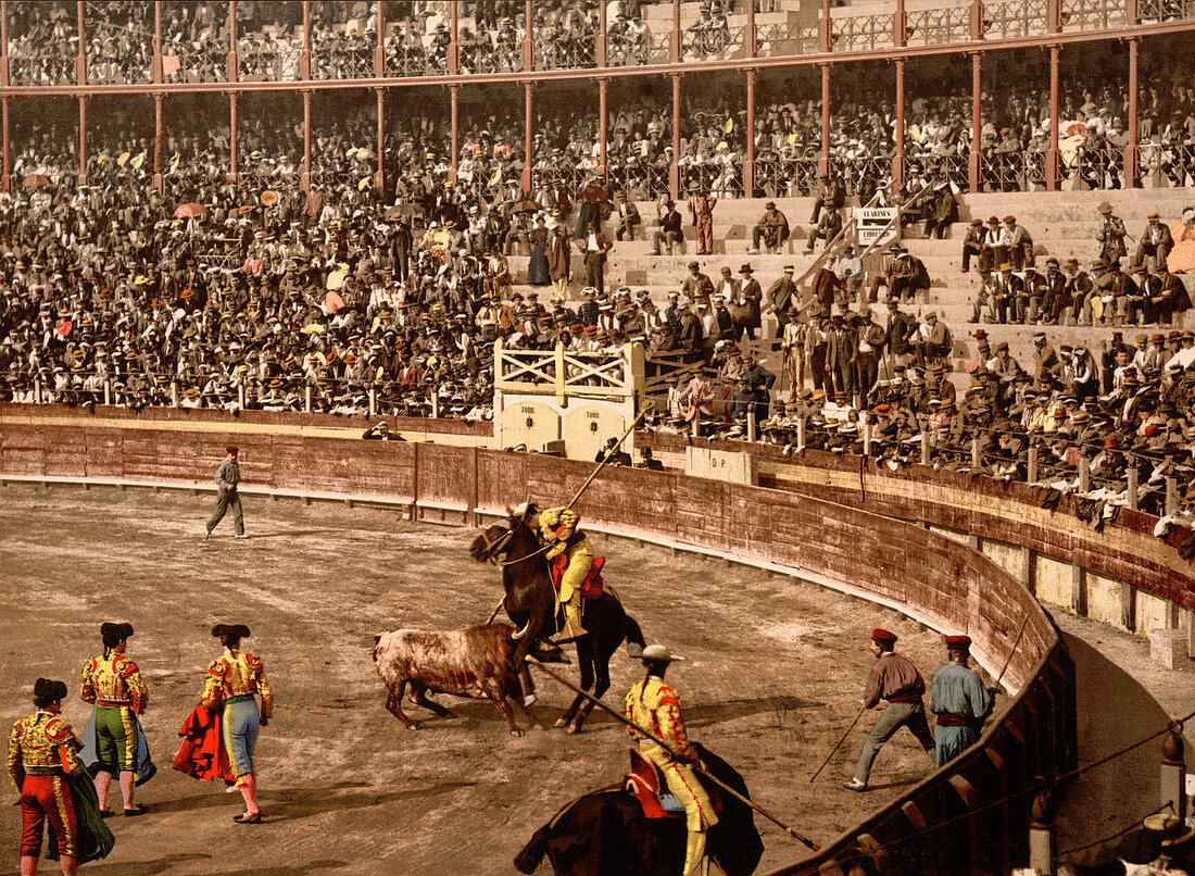 Bullfight, Barcelona, Spain, Photochrome Print, circa 1900