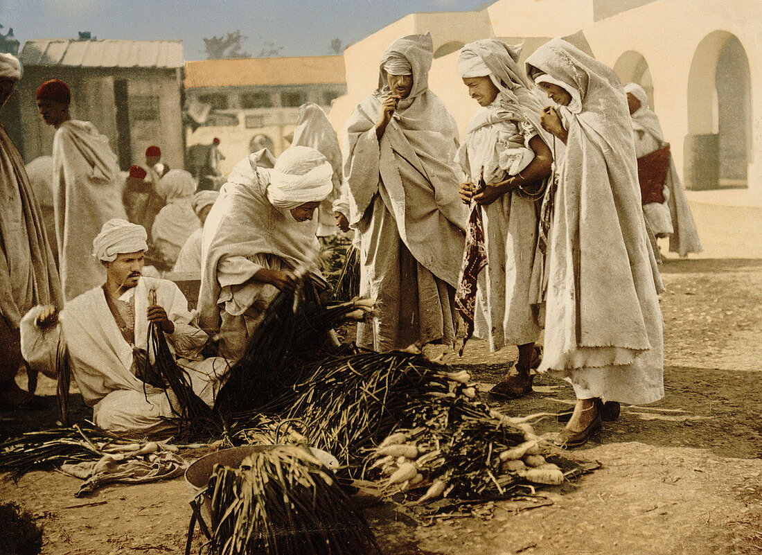 Market, Biskra, Algeria, Photochrome Print, circa 1900