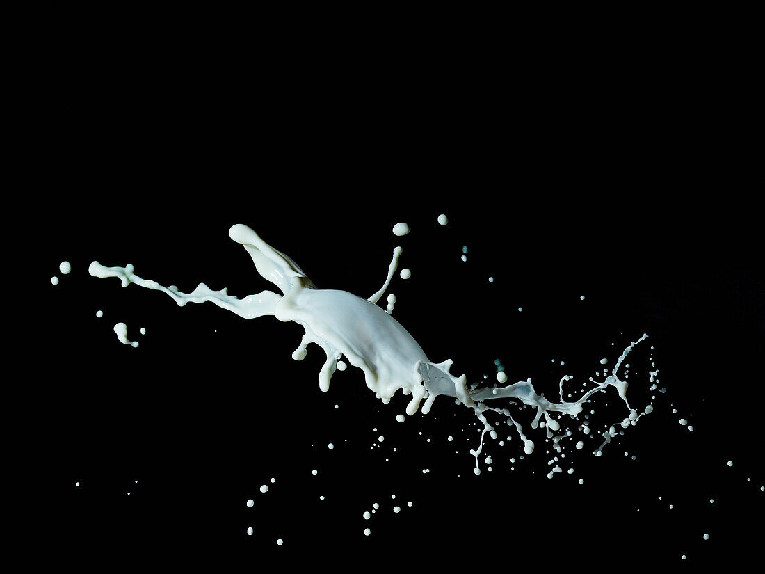 Close-up of milk splashing against black background