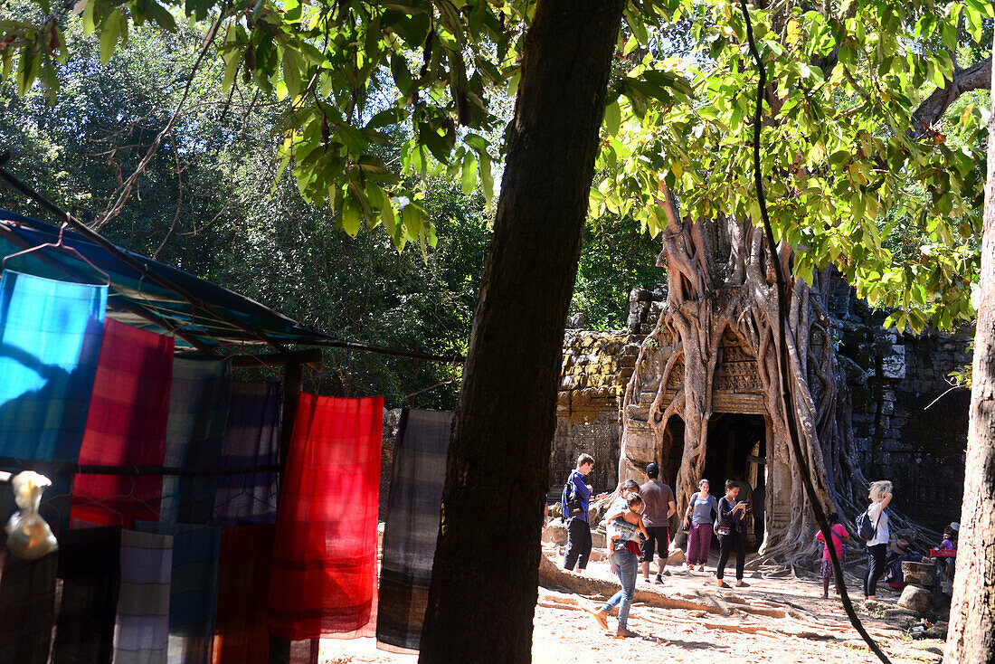 Ta Som Tempel, Archäologischer Park Angkor bei Siem Reap, Kambodscha, Asien