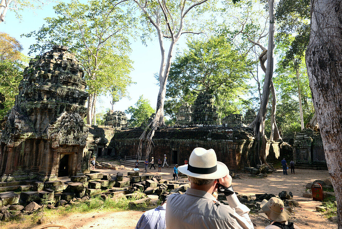 Ta Prohm Tempel, Archäologischer Park Angkor bei Siem Reap, Kambodscha, Asien