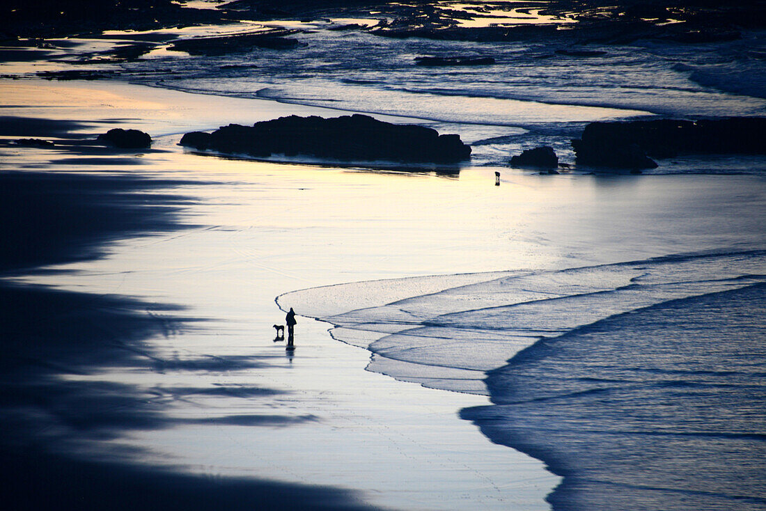 Mann mit Hunden am Strand von Clérico bei Aljezur, Costa Vicentina, Algarve, Portugal