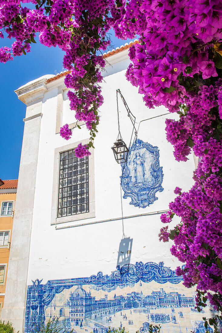 azulejo miradouro de santa luzia, on a house facade, the old quarter of alfama, lisbon, portugal