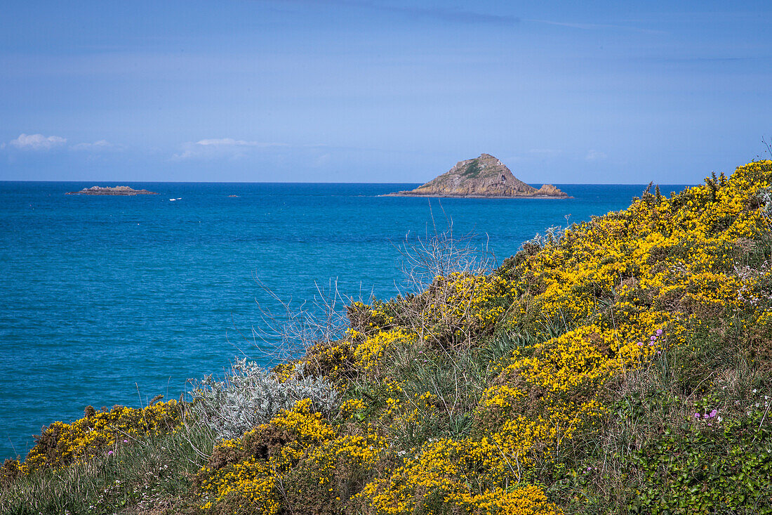 sentier des douaniers (trail used by customs officers to monitor the coast), pleneuf val-andre, (22) cotes d'armor, brittany