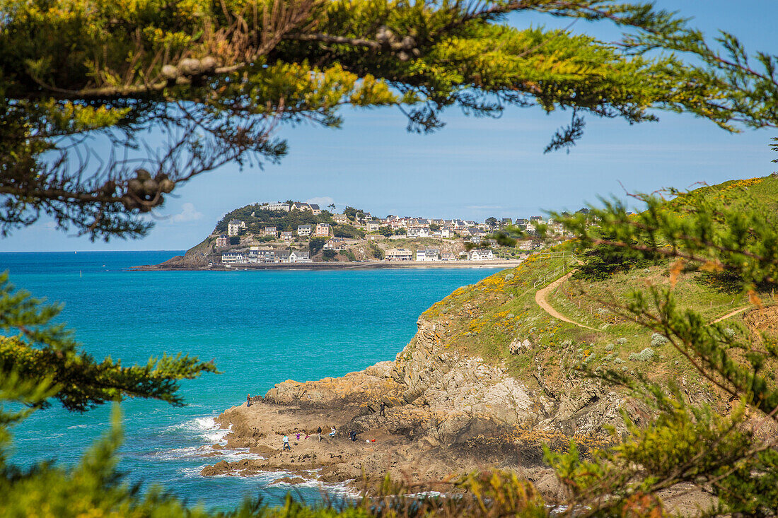 pisso cover, sentier des douaniers (trail used by customs officers to monitor the coast), pleneuf val-andre, (22) cotes d'armor, brittany