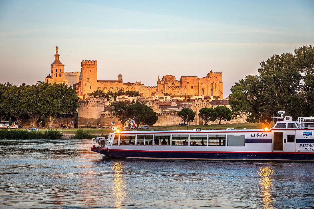 a cruise on the rhone, avignon, vaucluse (84), paca, provence alpes cote d'azur, france