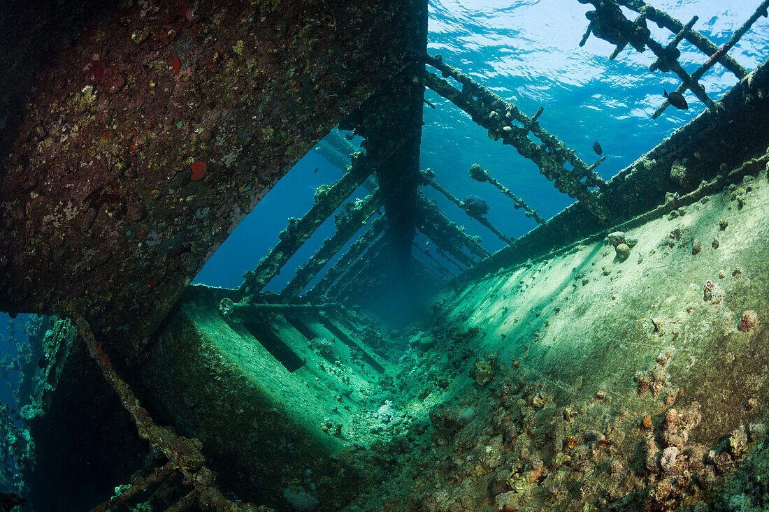 Reling of Umbria Wreck, Wingate Reef, Red Sea, Sudan