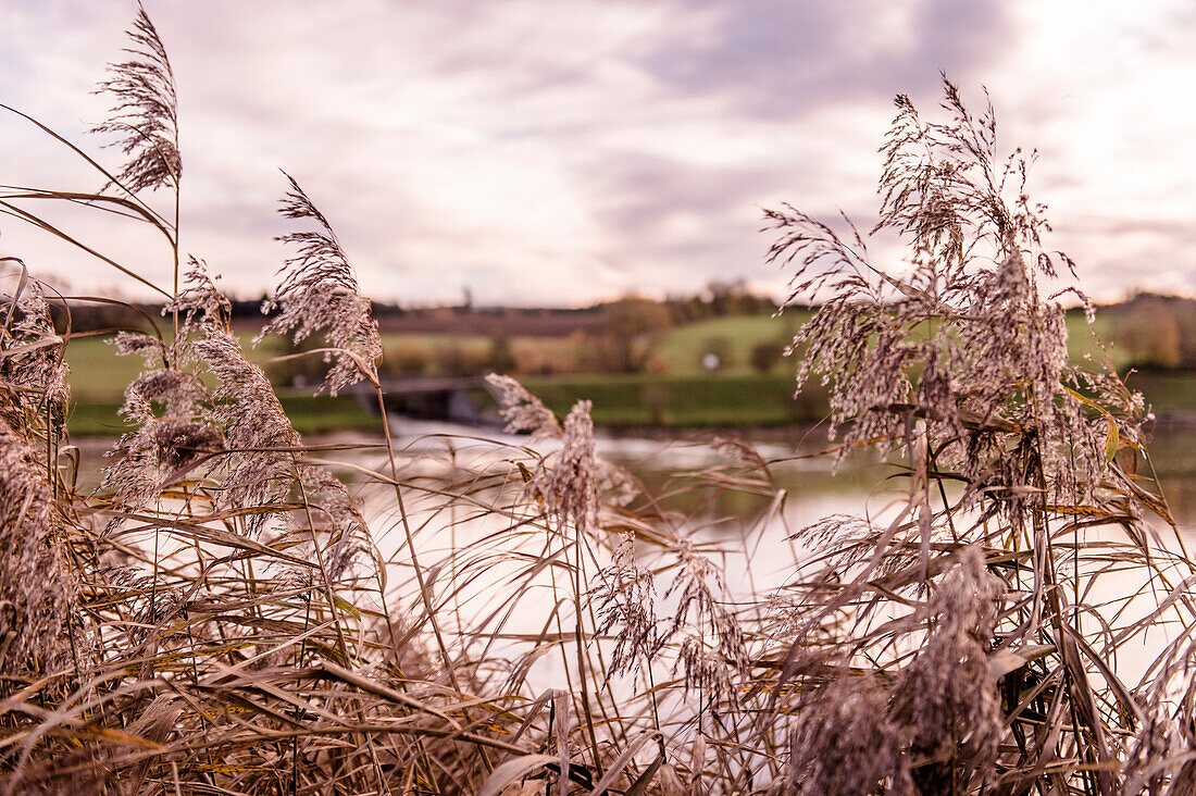 Bucher Stausee im Herbst, Rainau, bei Aalen, Ostalbkreis, Baden-Württemberg, Deutschland