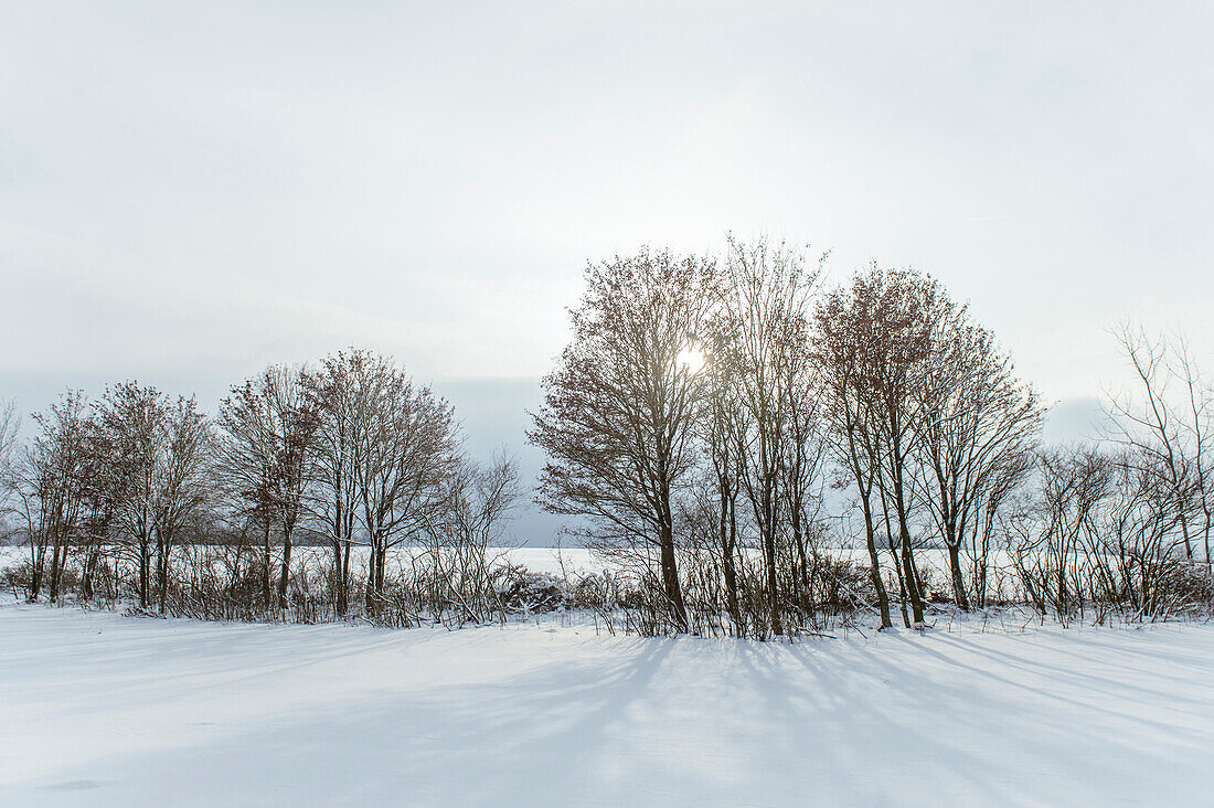 Winter at Lake Bucher reservoir, Rainau, close to Aalen, Ostalbkreis, Baden-Wuerrttemberg, Germany