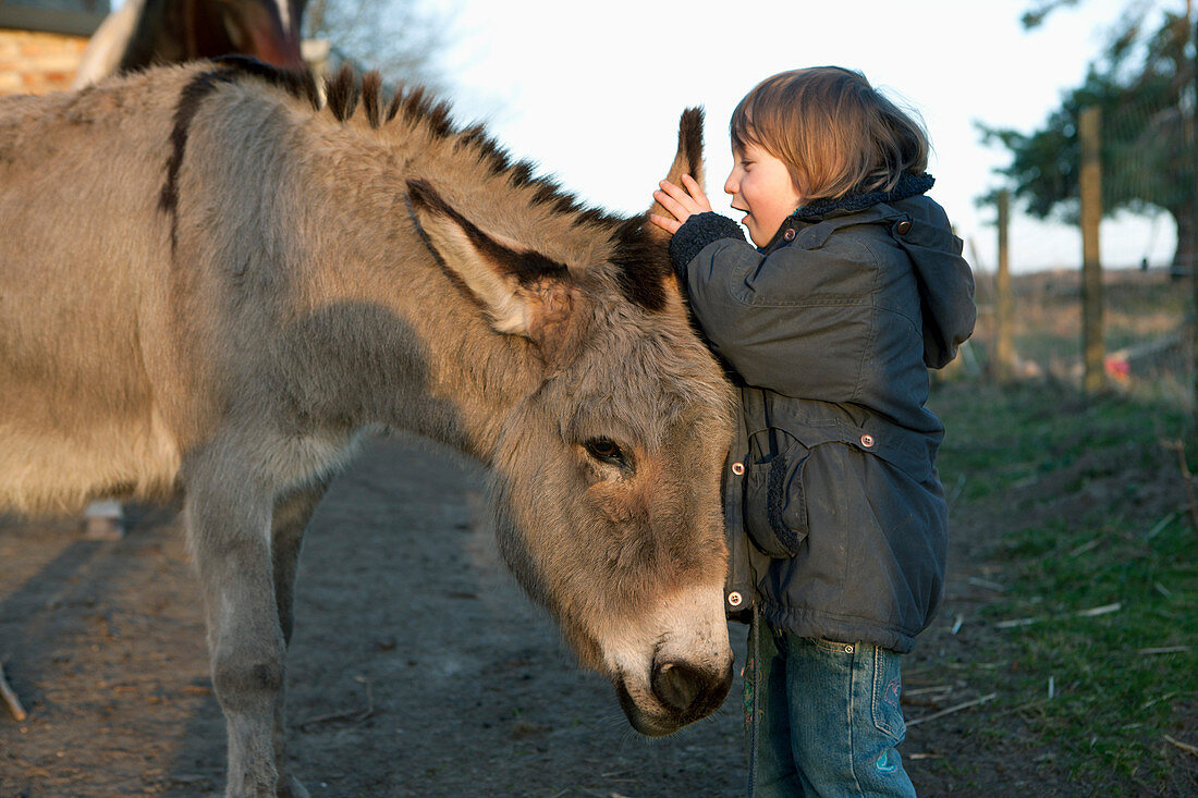 Girl whispering in donkey's ear on field