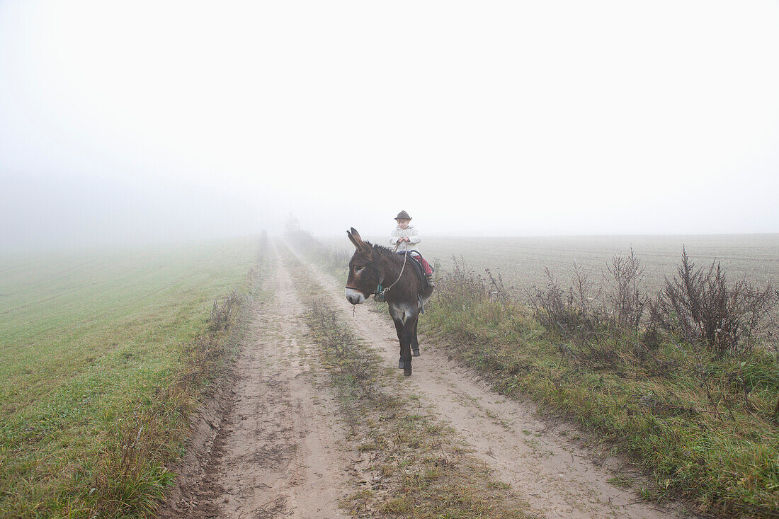 Girl riding donkey on road amidst field during foggy weather