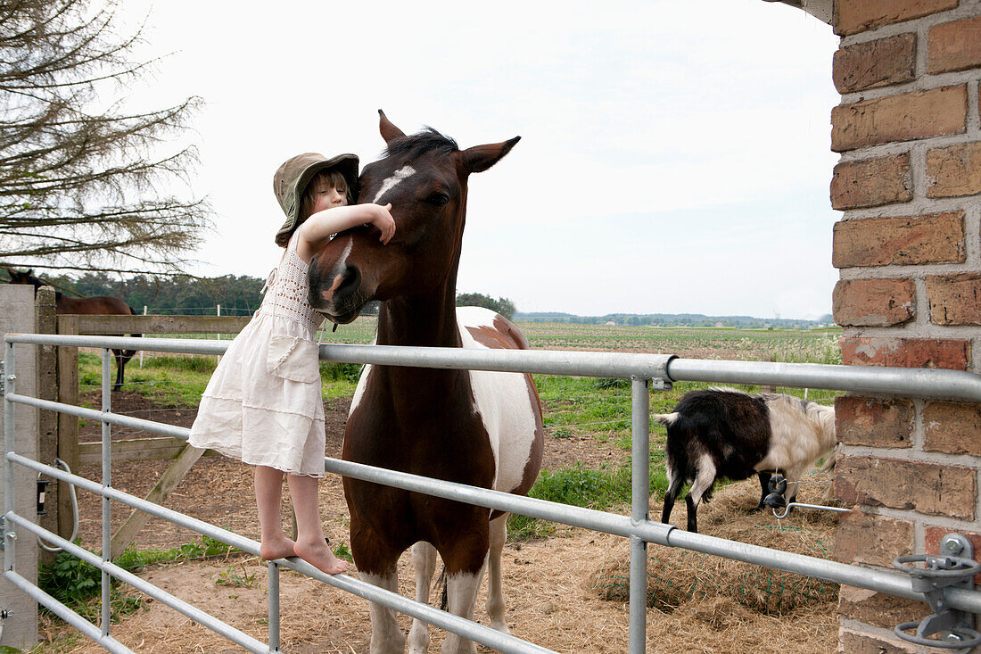 Girl embracing horse while standing on railing at farm