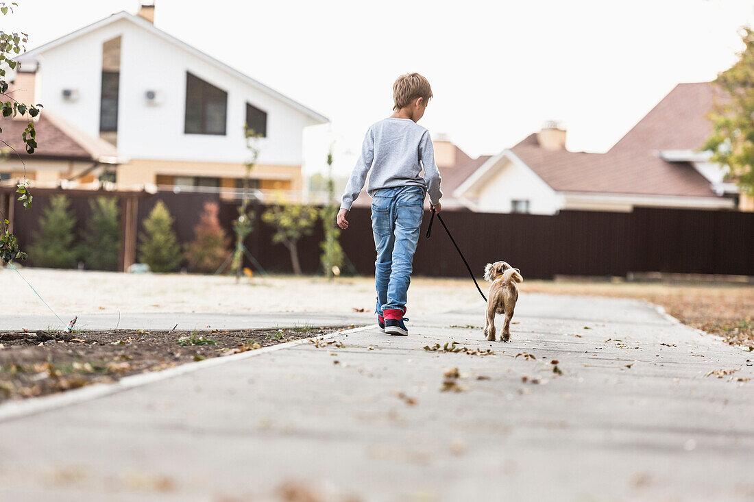 Rear view of boy walking with dog on footpath