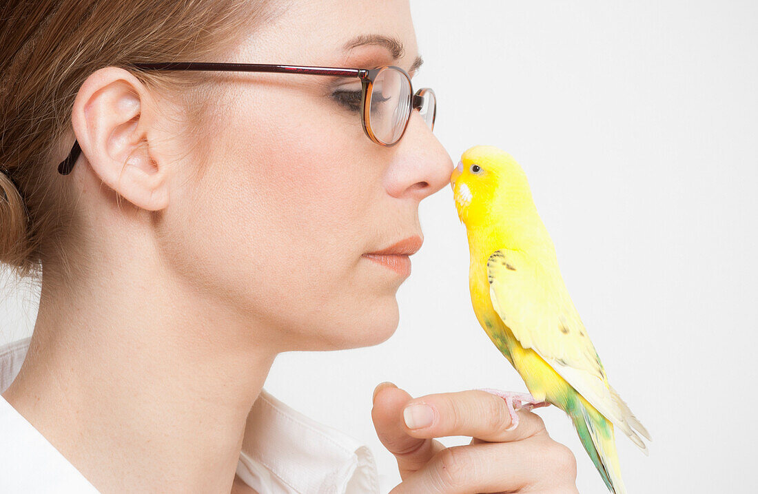 Close-up of beautiful woman touching yellow budgerigar on nose against white background