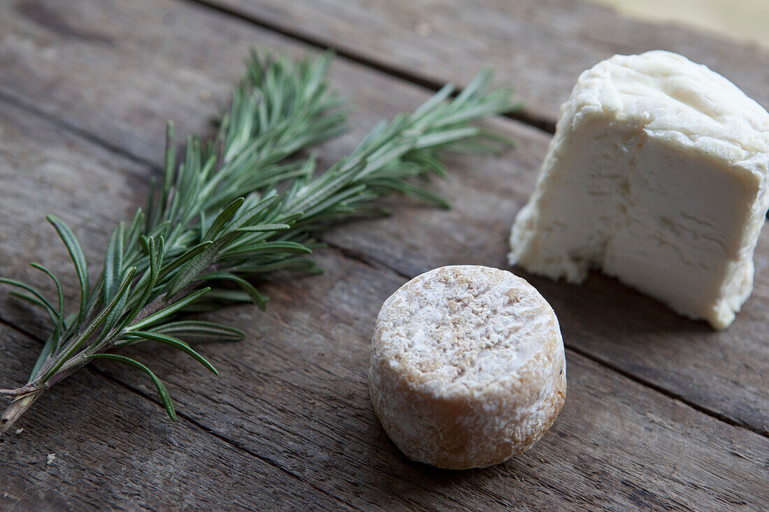 Close-up of cheese and rosemary on table