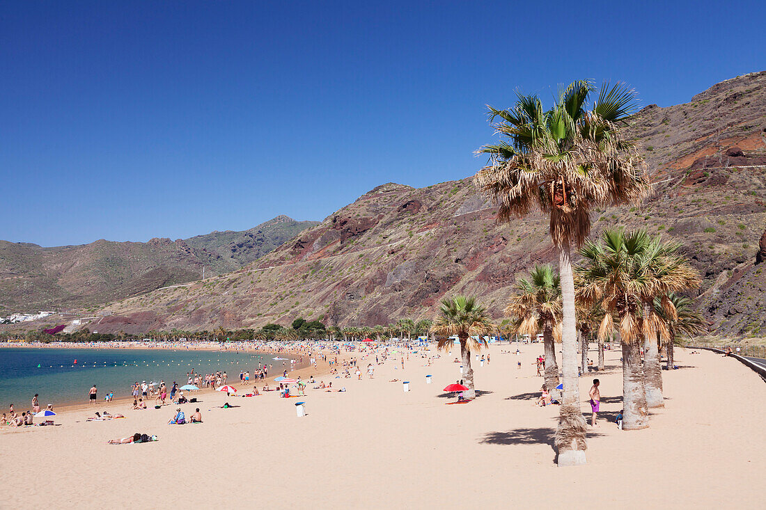 Playa de las Teresitas Beach, San Andres, Tenerife, Canary Islands, Spain, Atlantic, Europe