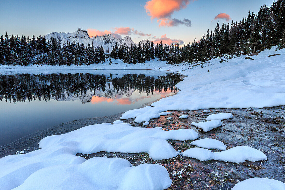 Woods and snowy peaks are reflected in Lake Palu at sunrise, Malenco Valley, Valtellina, Lombardy, Italy, Europe