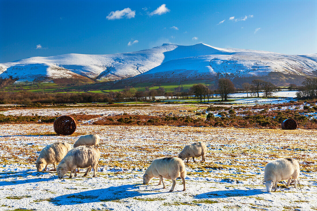 Brecon Beacons National Park, Wales, United Kingdom, Europe