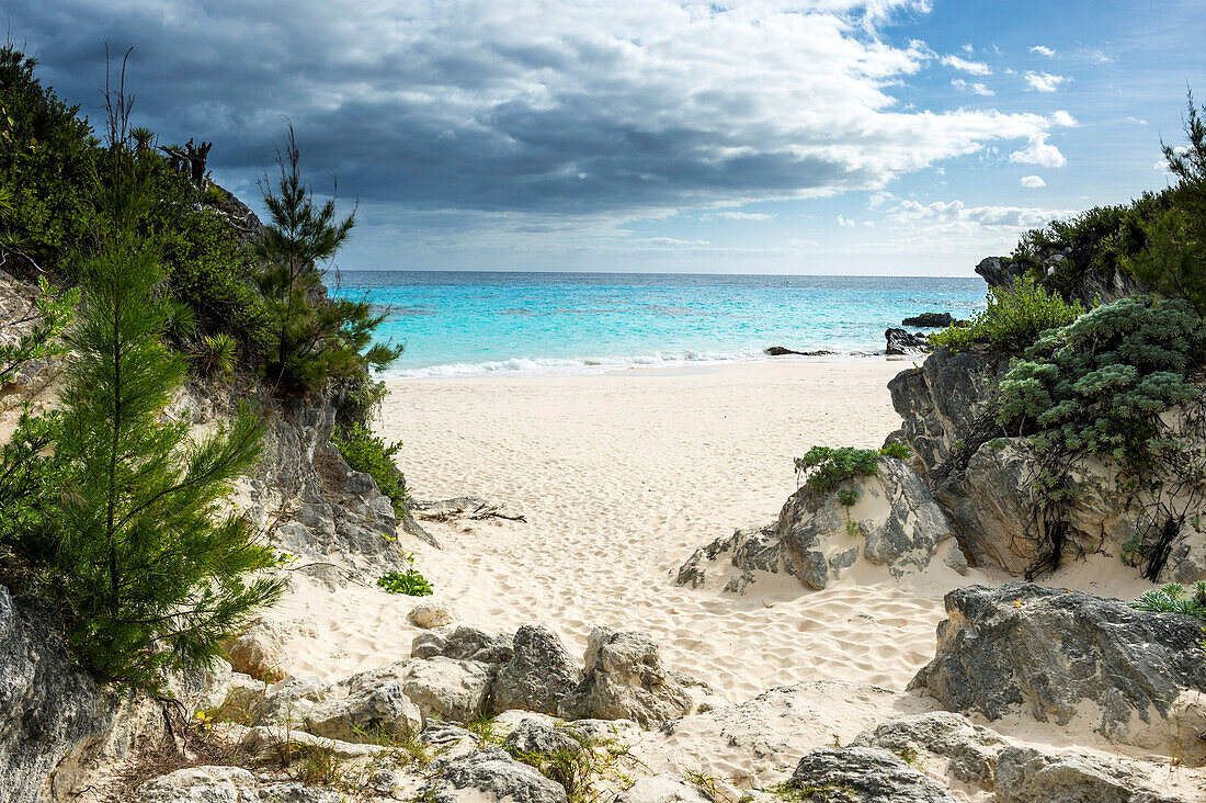 White sand beach in Chaplin's bay, Bermuda, North America