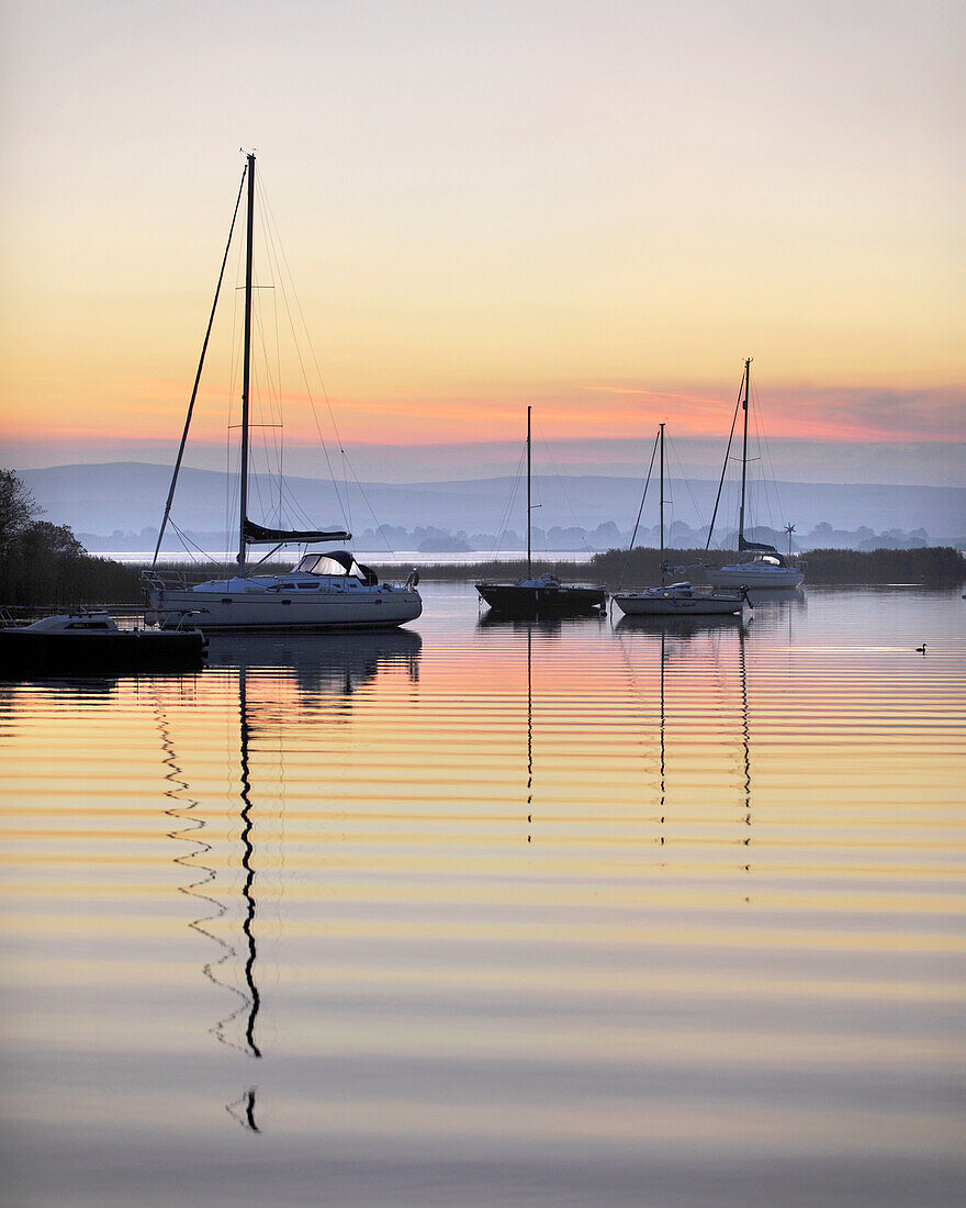 Yachts moored on Lough Derg in the early morning, River Shannon, Portumna, Co Galway, Republic of Ireland, Europe