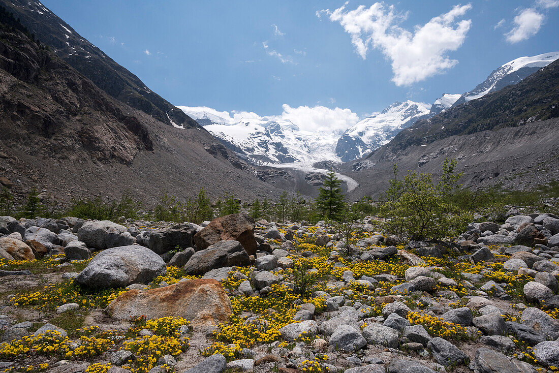 Glacier foreland of the Morteratsch Glacier, on the right Piz Bernina, Bernina Massif, Central Eastern Alps, canton of Grisons, Switzerland