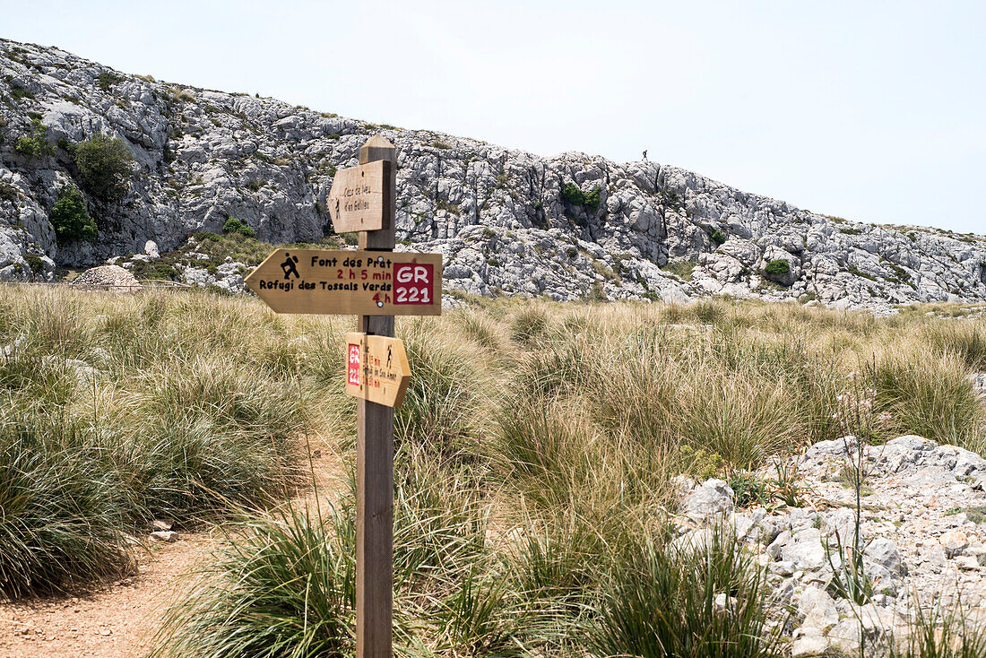 Ein Hölzerner Wegweiser und im Hintergrund ein winziger Wanderer in einem Karstfeld, Puig de Massanella, Serra de Tramuntana, Norden von Mallorca, Balearen, Spanien