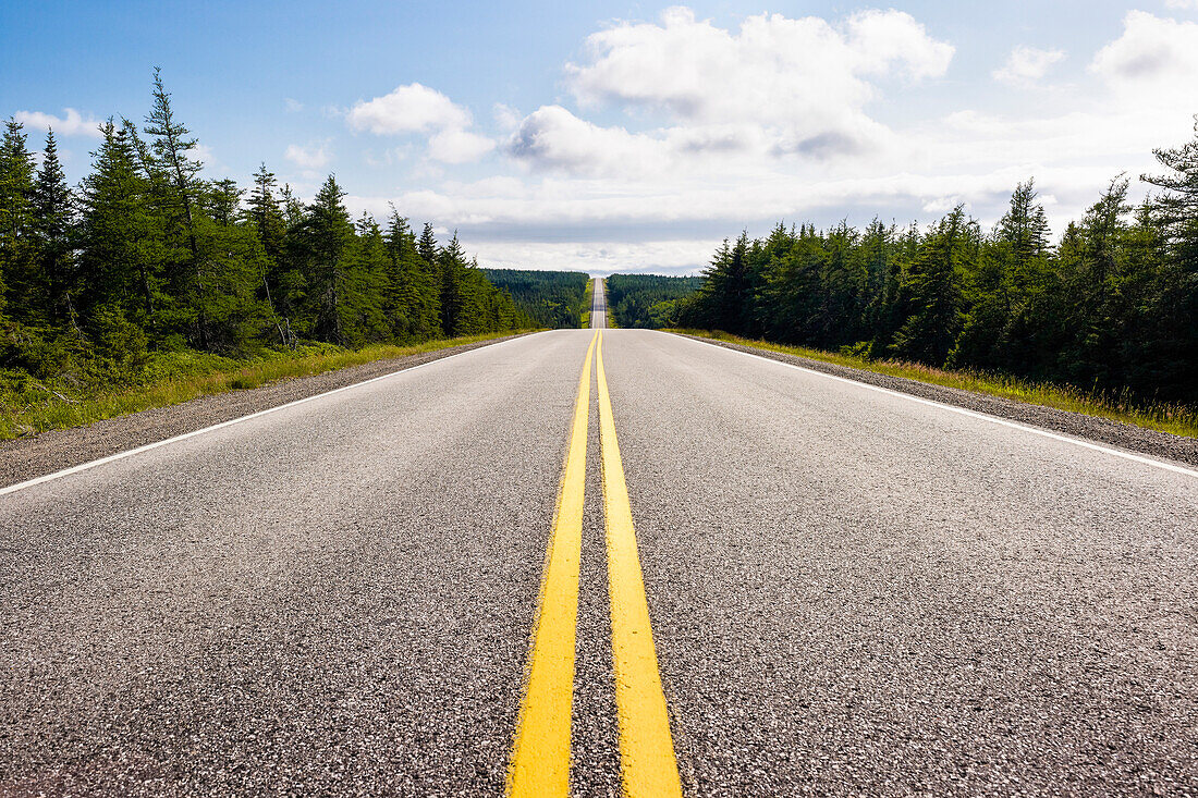 Endlose Straße durch den Wald im Cape Breton Highlands Park, Pleasant Bay, Nova Scotia, Kanada