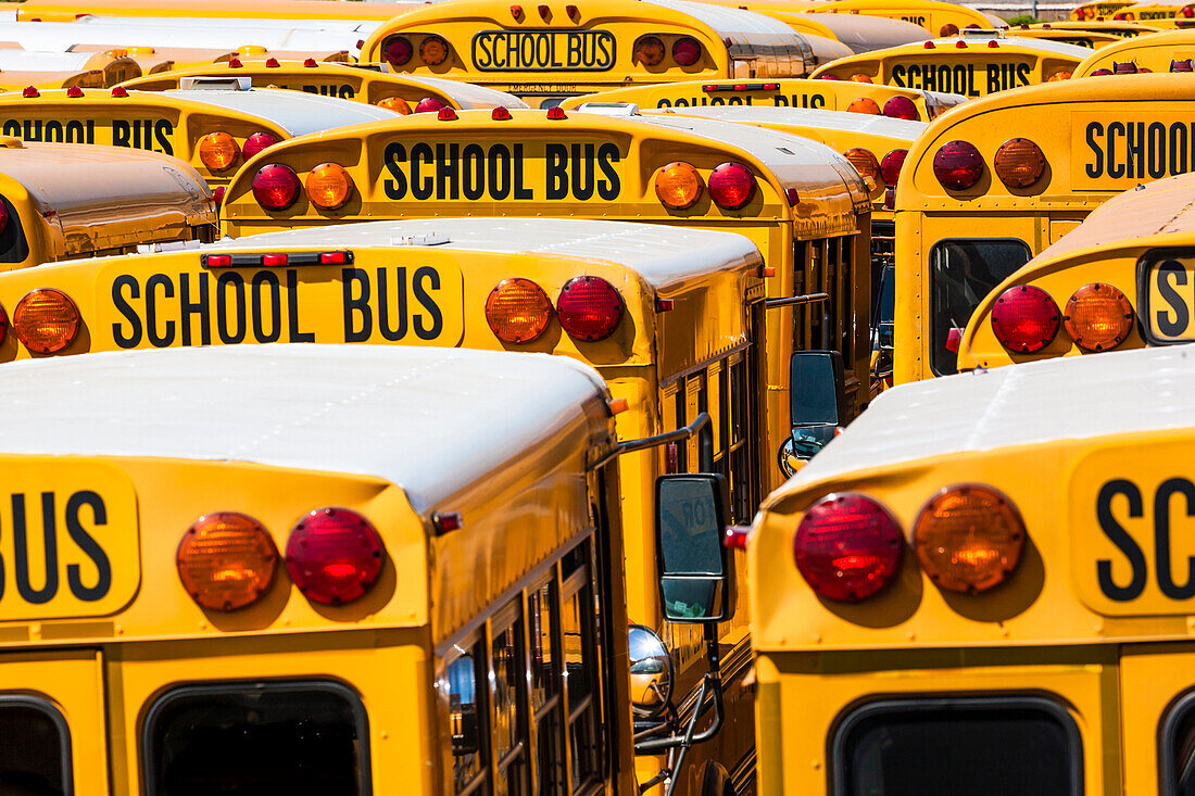 Typical American school buses in the bus depot, New York City , New York , USA