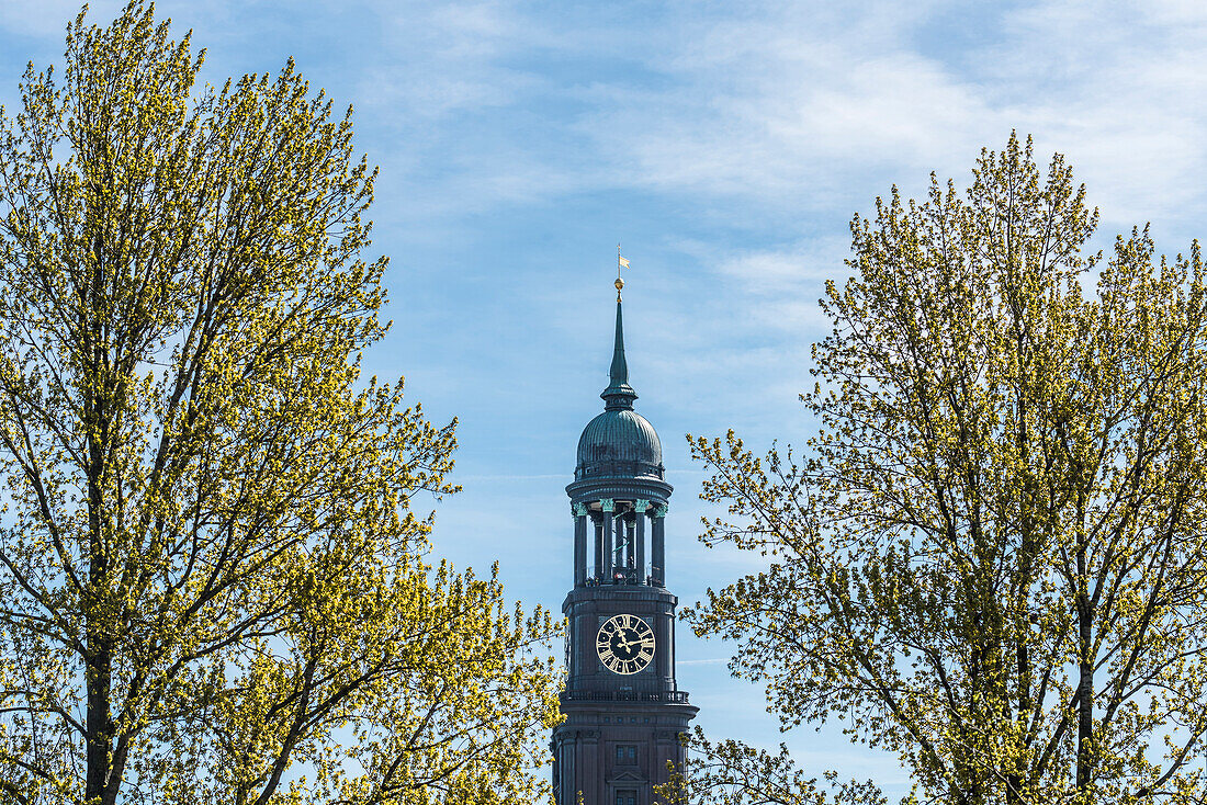 Blick zwischen zwei Bäumen hindurch auf den Turm des Michel, Hauptkirche Sankt Michaelis im Frühling, Hamburg, Deutschland