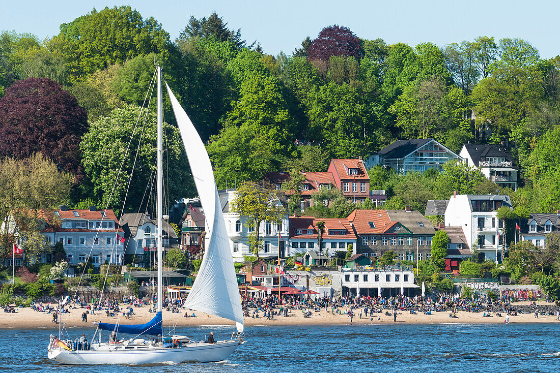 Segelboot auf der Elbe, vor dem Oevelgönner Strand mit dem Szenelokal Strandperle, Hamburg, Deutschland