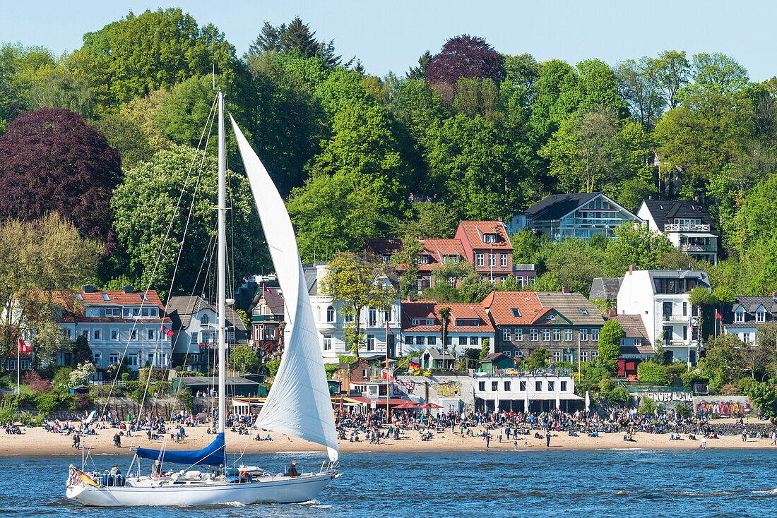 sailing boat on the river Elbe, in front of the Oevelgönner beach with the hot spot restaurant Strandperle, Hamburg, Germany