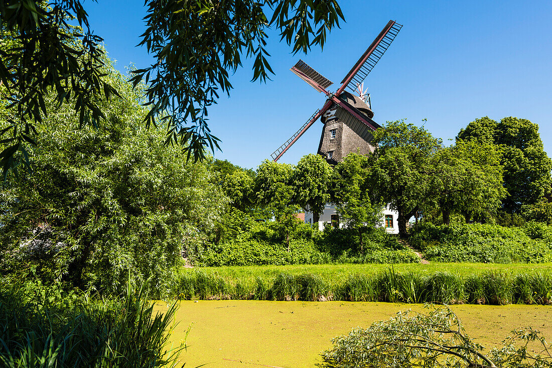 'Die Windmühle Johanna als ''Galerieholländer'' (die fünfte Windmühle an dieser Stelle), am Teich in Wilhelmsburg, Hamburg, Deutschland '