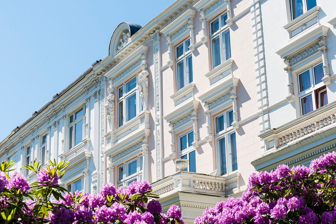 Houses and town villas in the nice streets of the famous and preferential districts of Harvestehude and Rotherbaum near the lake Außenalster during the rhododendron blossom, Hamburg, Germany