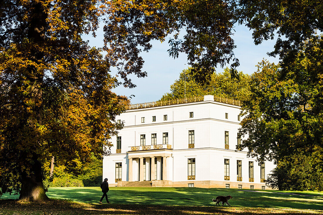 Ein Besucher im Herbst geht mit seinem Hund vor dem Jenischhaus im Jenischpark im Stadtteil Othmarschen , einer der bedeutendsten Landschaftsgärten in Norddeutschland spazieren, Hamburg, Deutschland