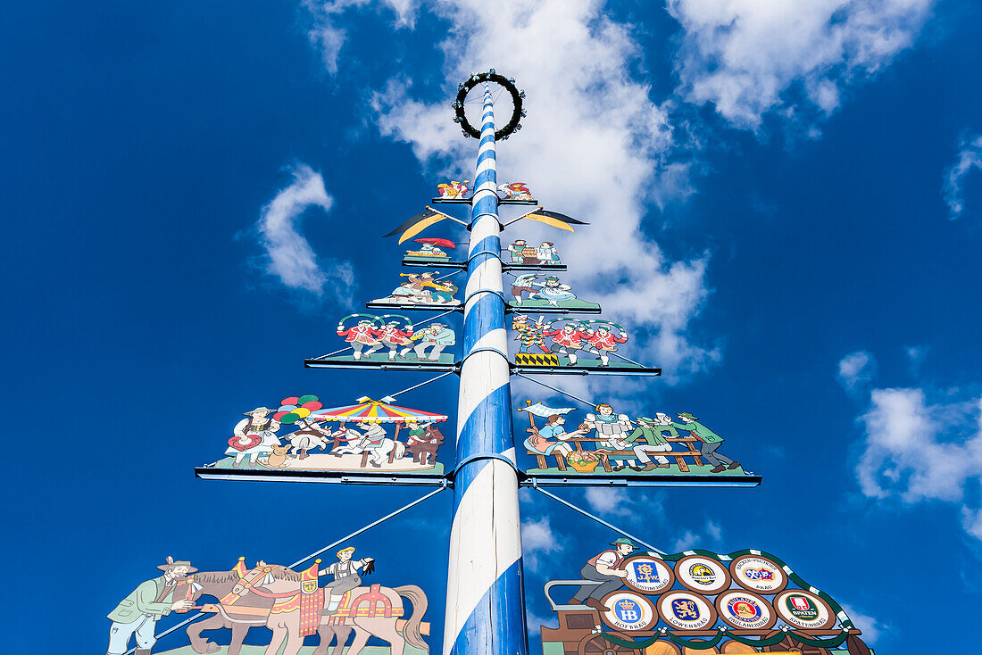 Maibaum, maypole on the Munich Viktualienmarkt, Munich, Bavaria, Germany