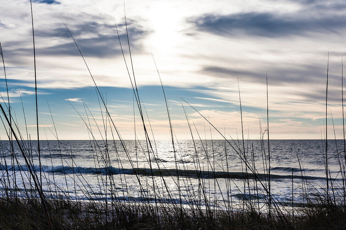 Blick durch Schilf am Strand auf den Golf von Mexiko bei bedecktem Himmel, Sanibel, Florida, USA