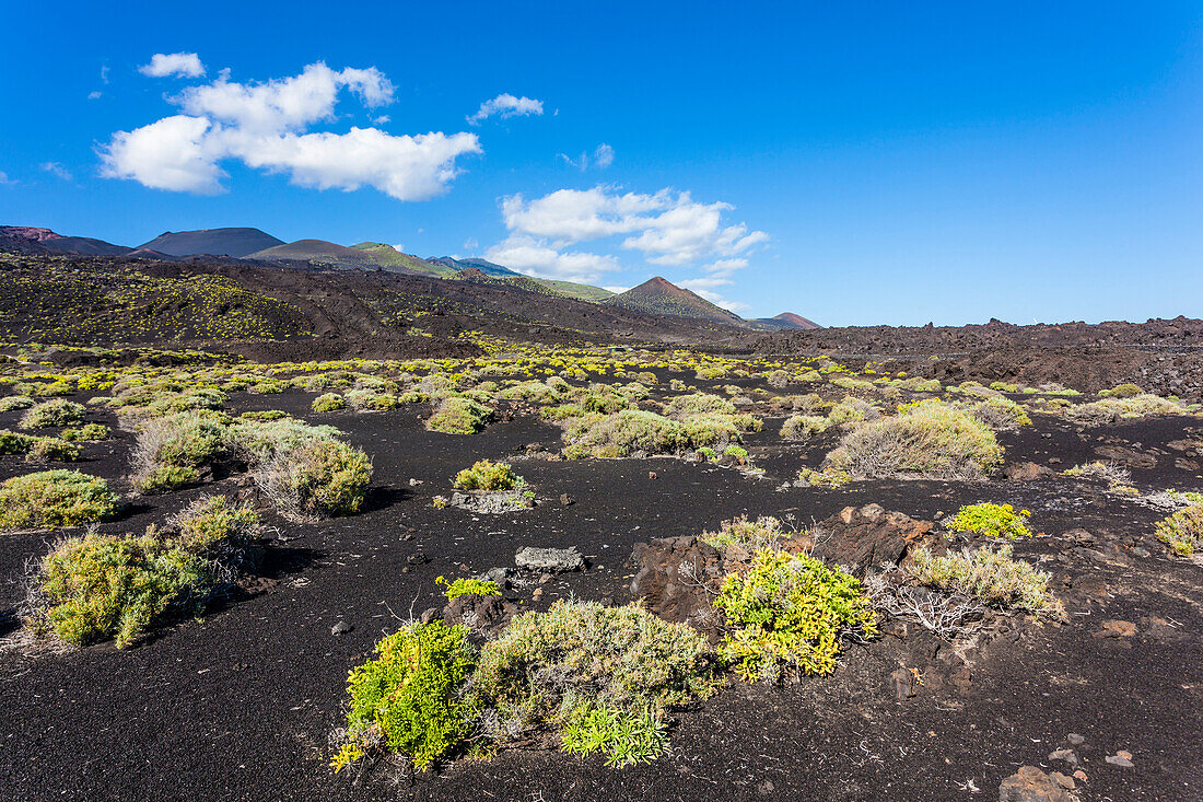 Scenery at the south point of the island in the volcano area, Fuencaliente, La Palma, Canary islands, Spain