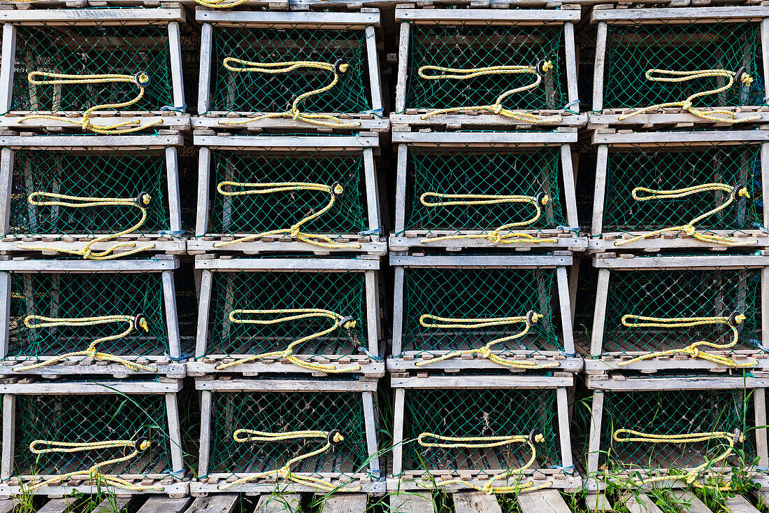 Fischreusen für Hummerfang an der Küste im Cape Breton Highlands Park am Nord Atlantischen Ozean, Pleasant Bay, Nova Scotia, Kanada