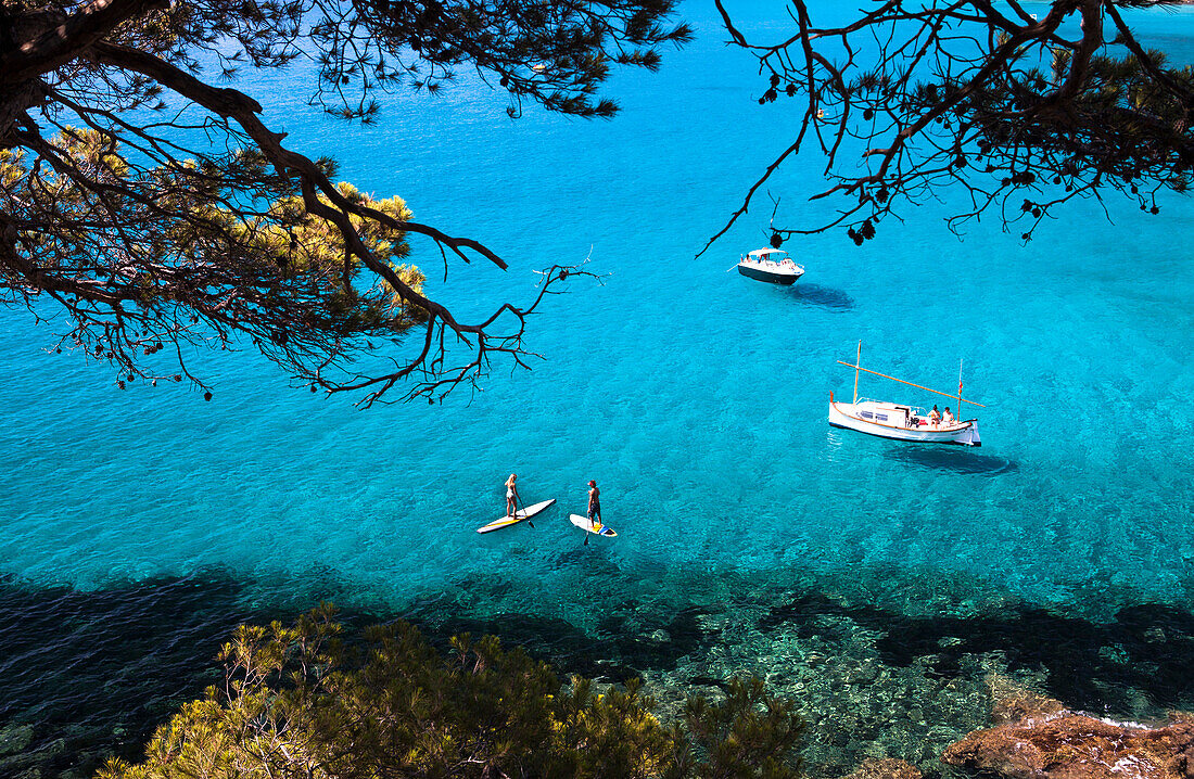 In between the trees view of a man and woman stand up paddling in turquoise waters