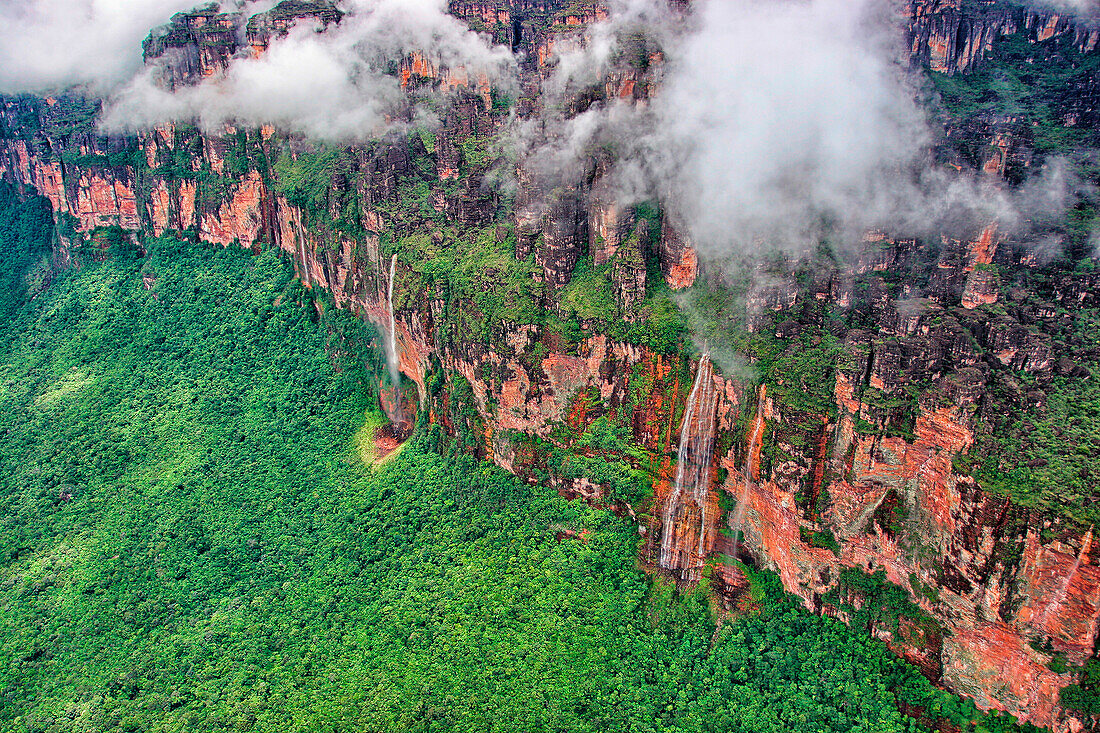 Around of Angel Falls, Canaima National Park, Guiana Highlands, Bolivar State, Venezuela