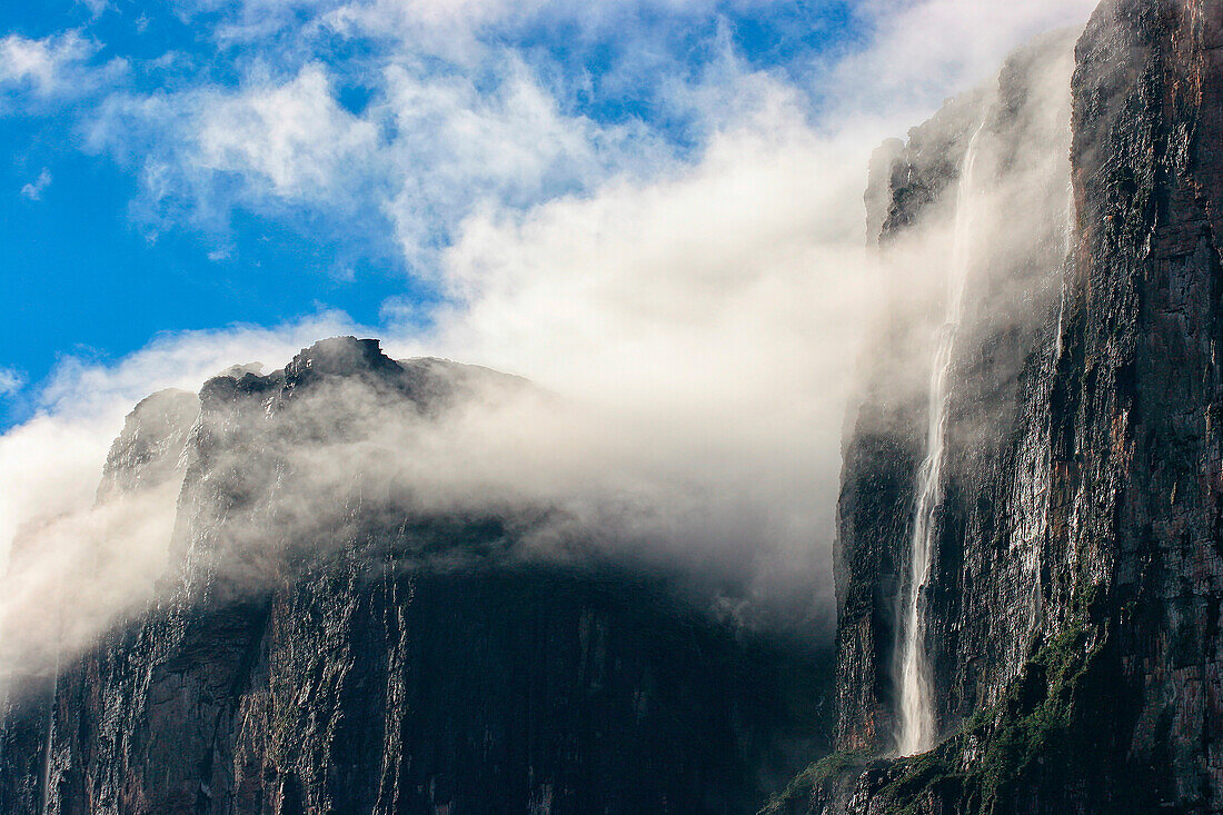 Southwestern cliff from ascent ledge, Mount Roraima (Cerro Roraima), Tepuis, Estado Bolivar, Venezuela, South America