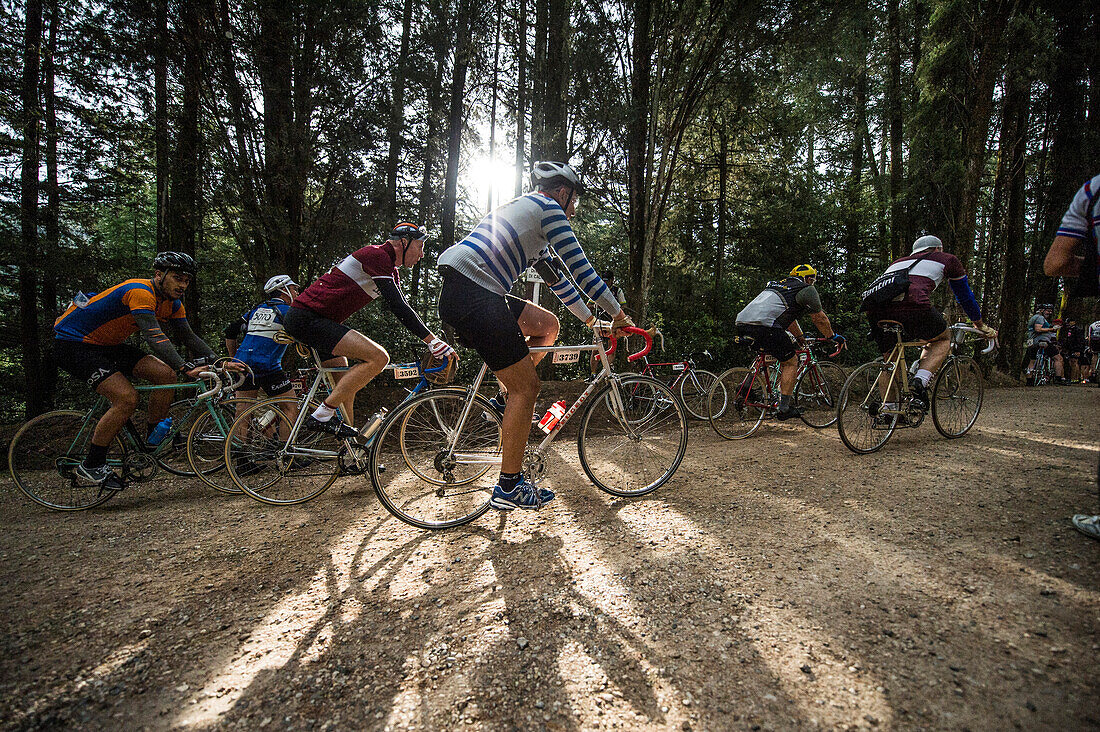 A ray of sunshine that illuminates the race. Eroica is a cycling event that takes place since 1997 in the province of Siena with routes that take place mostly on dirt roads with vintage bicycles. Usually it held on the first Sunday of October.