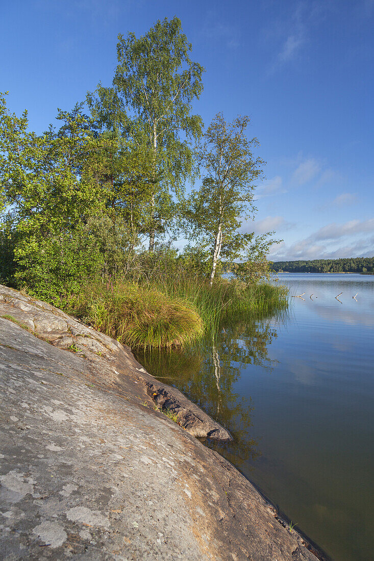 Ufer des Sees Masnaren bei Stadan, Södertälje, Stockholms län, Südschweden, Schweden, Nordeuropa, Europa