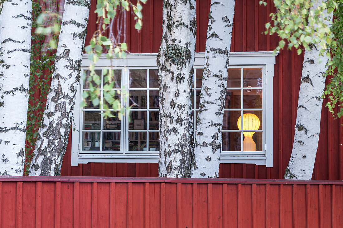 Schwedisches Holzhaus in Schwedenrot mit Birken, Mariefred, Södermanlands län, Södermanland, Südschweden, Schweden, Nordeuropa, Europa