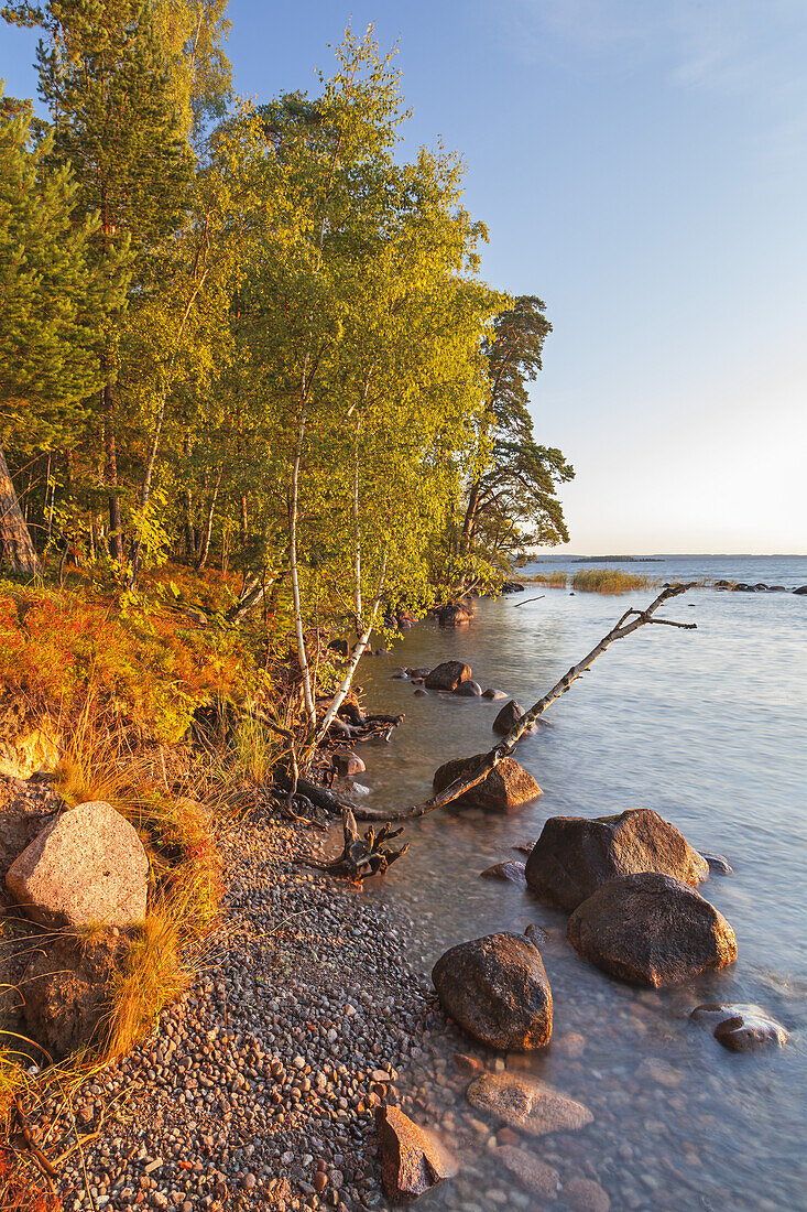 Shore of Lake Vättern near Karlsborg in the morning, Västergötland, Götaland, South Sweden, Sweden, Scandinavia, Northern Europe, Europe