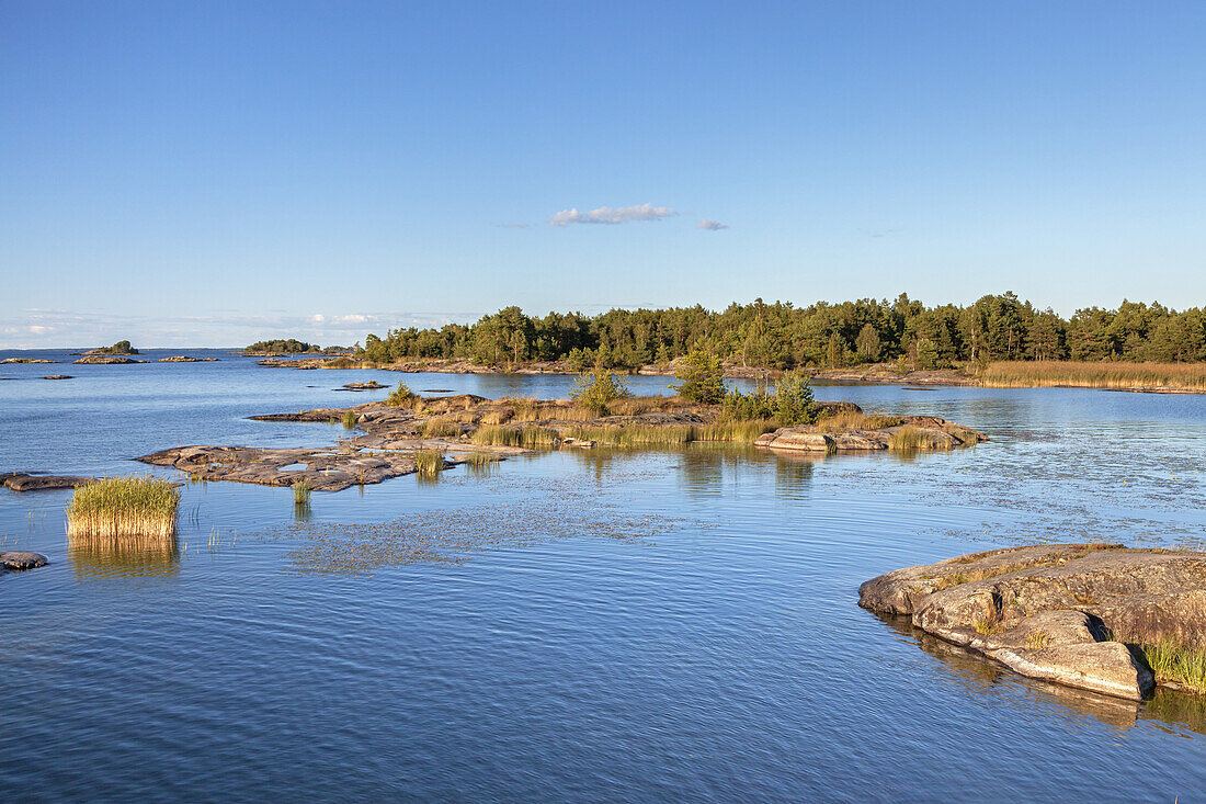 View from  Peninsula Kallandsö over the shores of Lake Vänern, Västergötland, Götaland, South Sweden, Sweden, Scandinavia, Northern Europe, Europe
