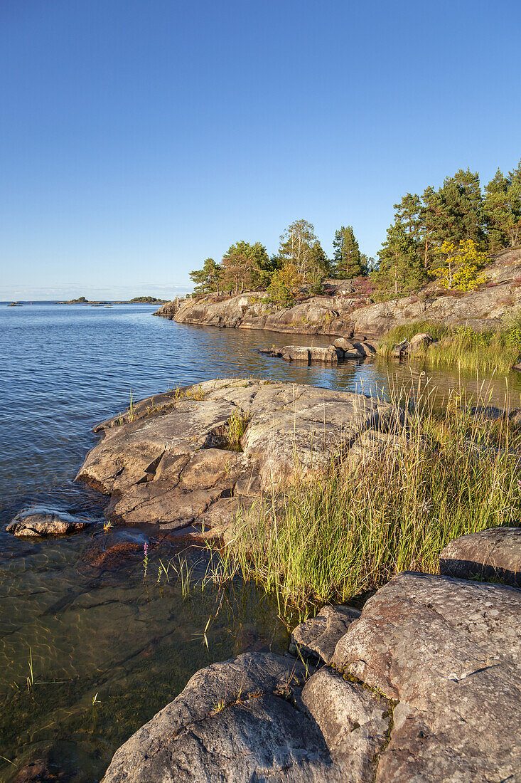 Ufer des Vänern auf der Halbinsel Kallandsö, Västergötland, Götaland, Västra Götalands län, Südschweden, Schweden, Skandinavien, Nordeuropa, Europa